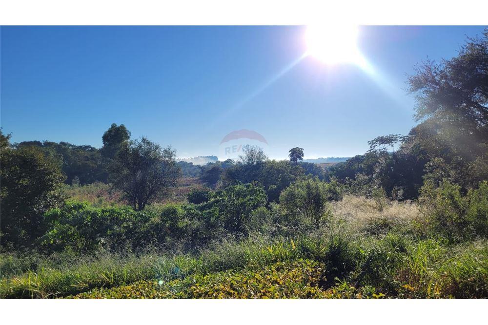 FINCA AGRICOLA - ITAPUA — foto 3