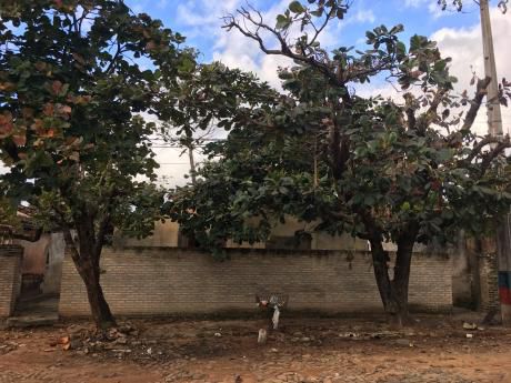 Terreno Con Casa En Lambare
