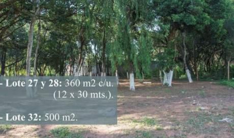 Vendo Terrenos En Lambaré, Zona Carretera De López