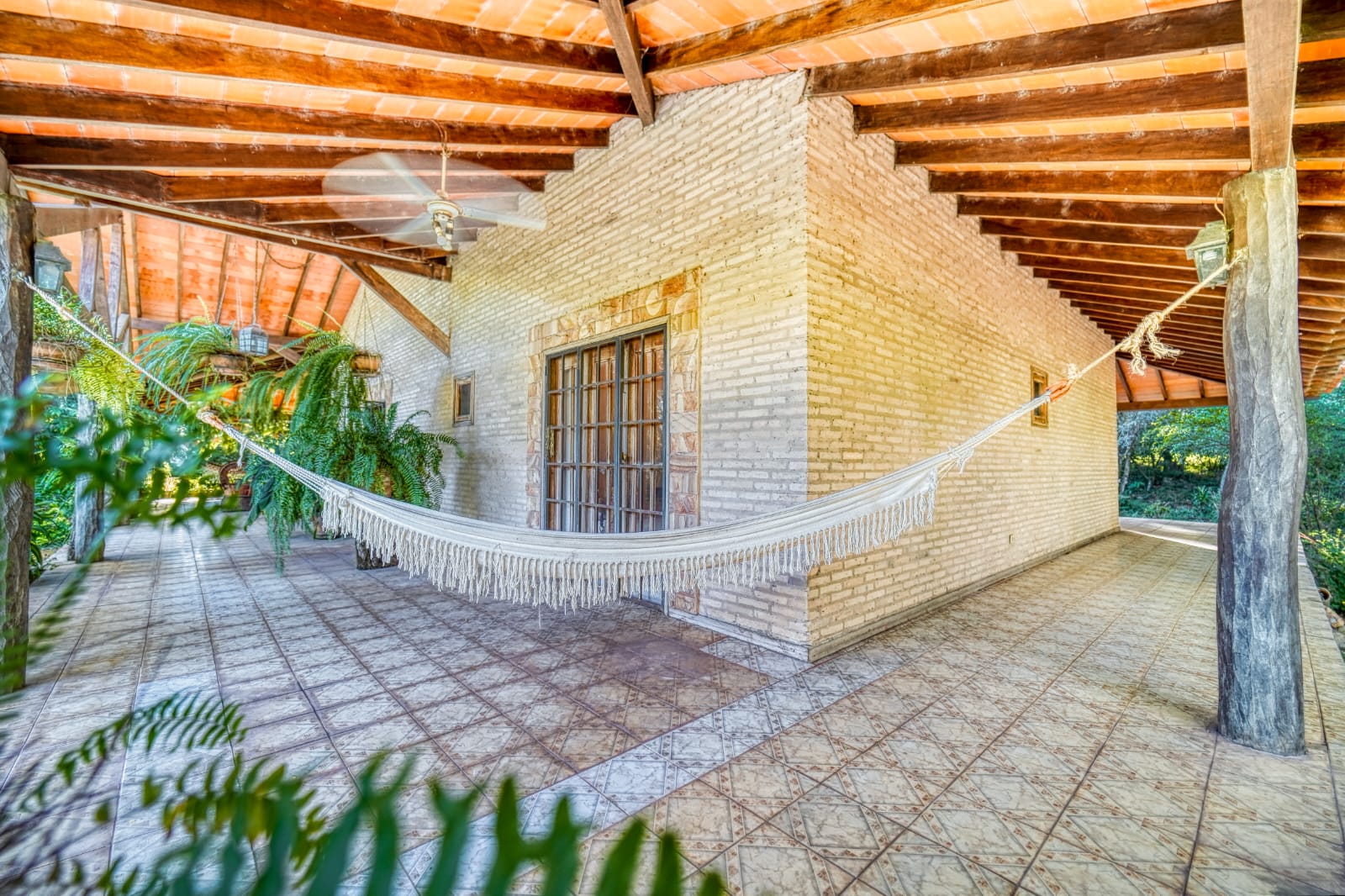 VENDO HERMOSA CASA QUINTA EN NUEVA COLOMBIA,SOBRE RUTA — foto 2