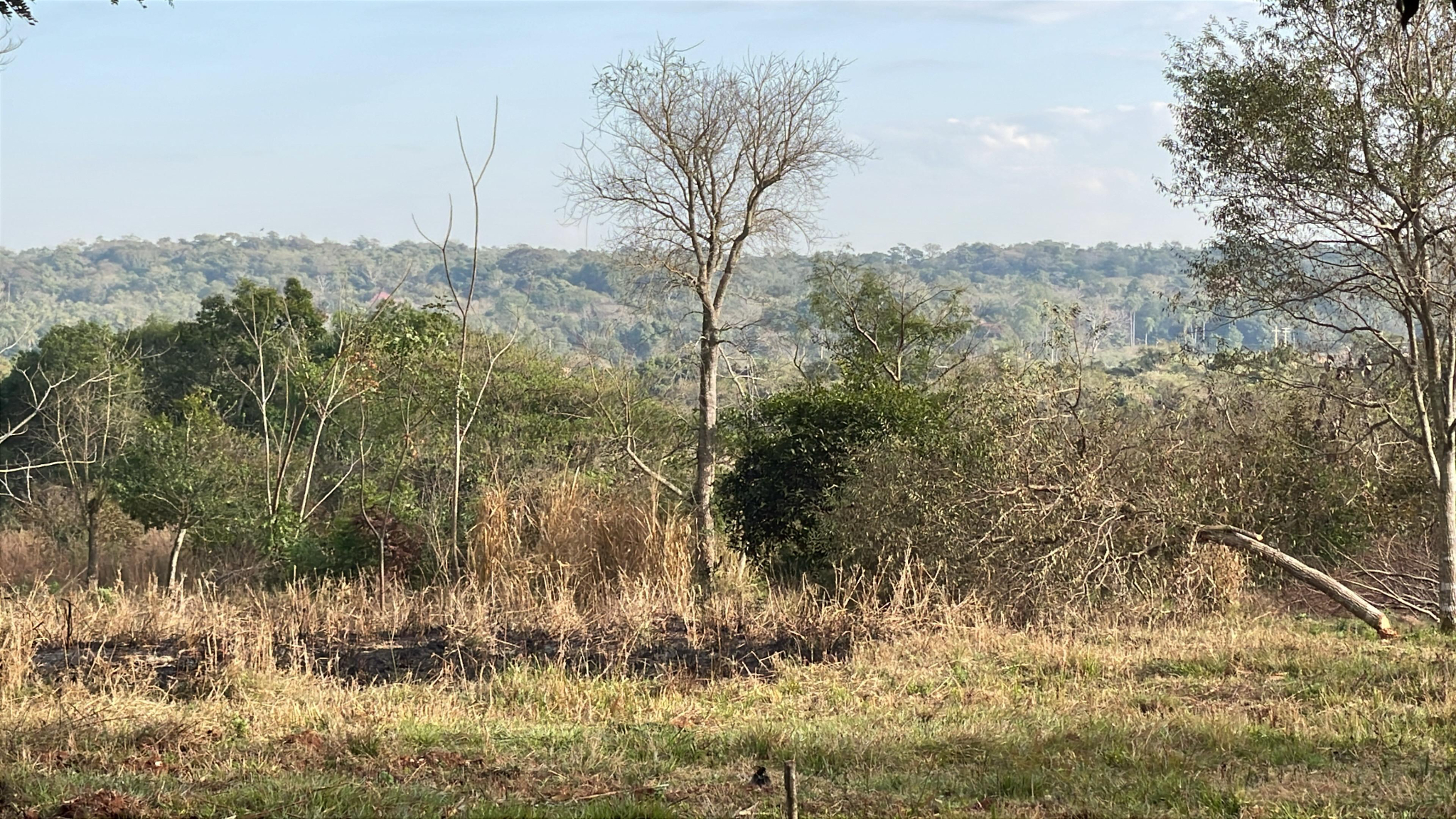 2 hectáreas con arroyito y vistas en Eusebio Ayala A 3 km de Ruta 2 — foto 3