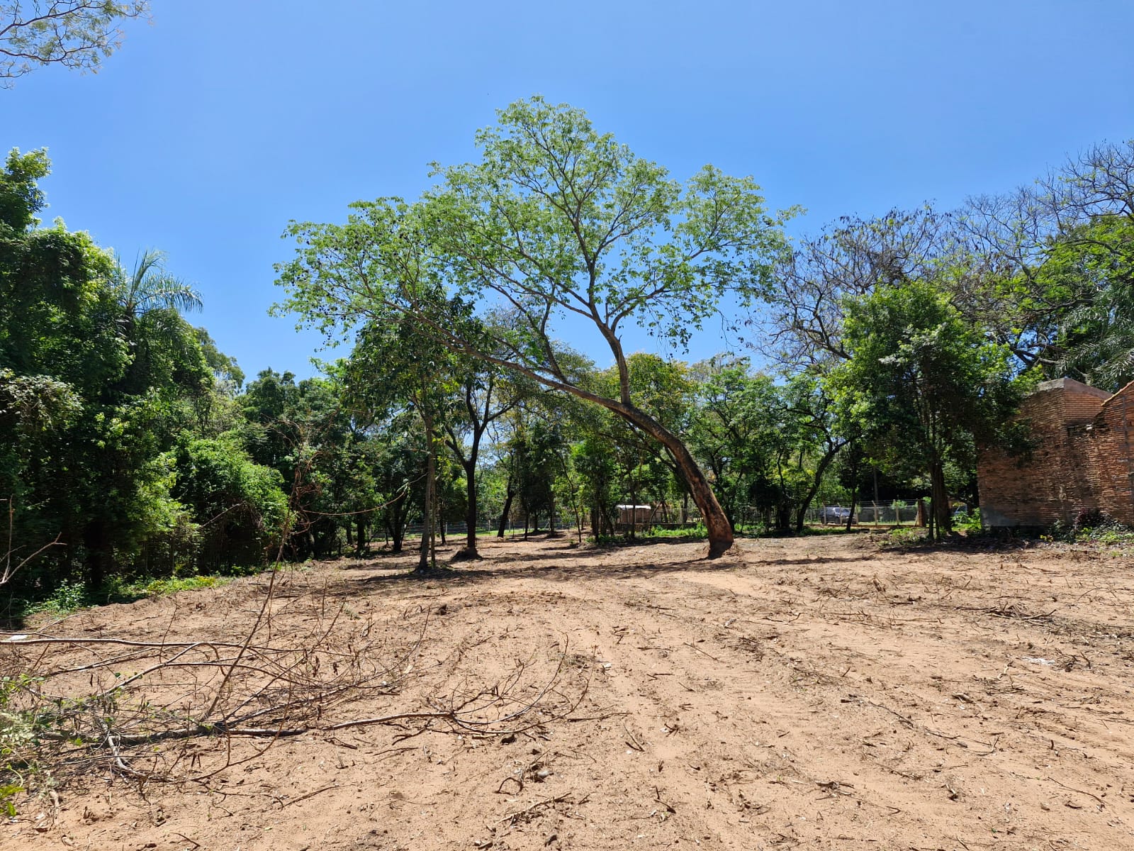 Terreno en venta en Mariscal José Félix Estigarribia — foto 3