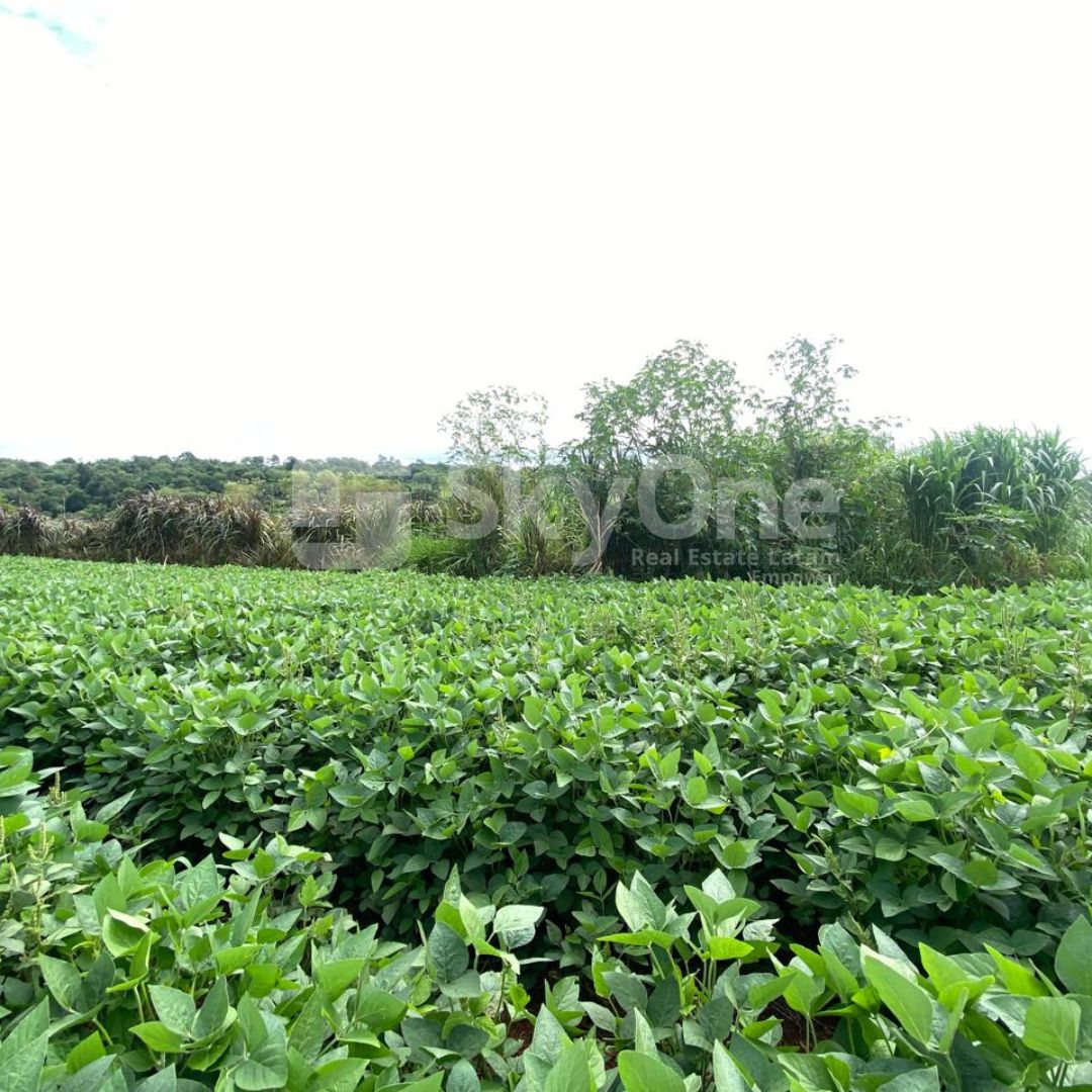 En Venta Campo de 5 Hectáreas ZONA CDE — foto 3
