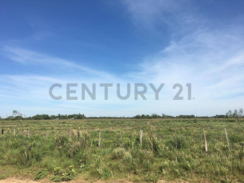 Vendo 49 hectareas en Abai Caazapa-Gran oportunidad de inversion — foto 3