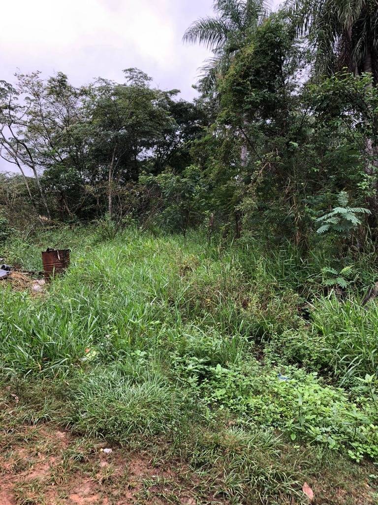 Vendo Terreno en San Bernardino — foto 3