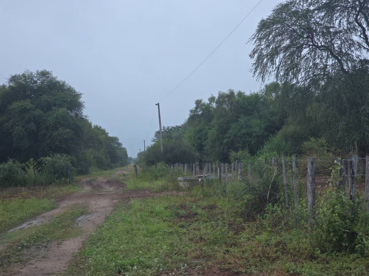 VENDO ESTANCIA EN MARISCAL ESTIGARRIBIA — foto 2