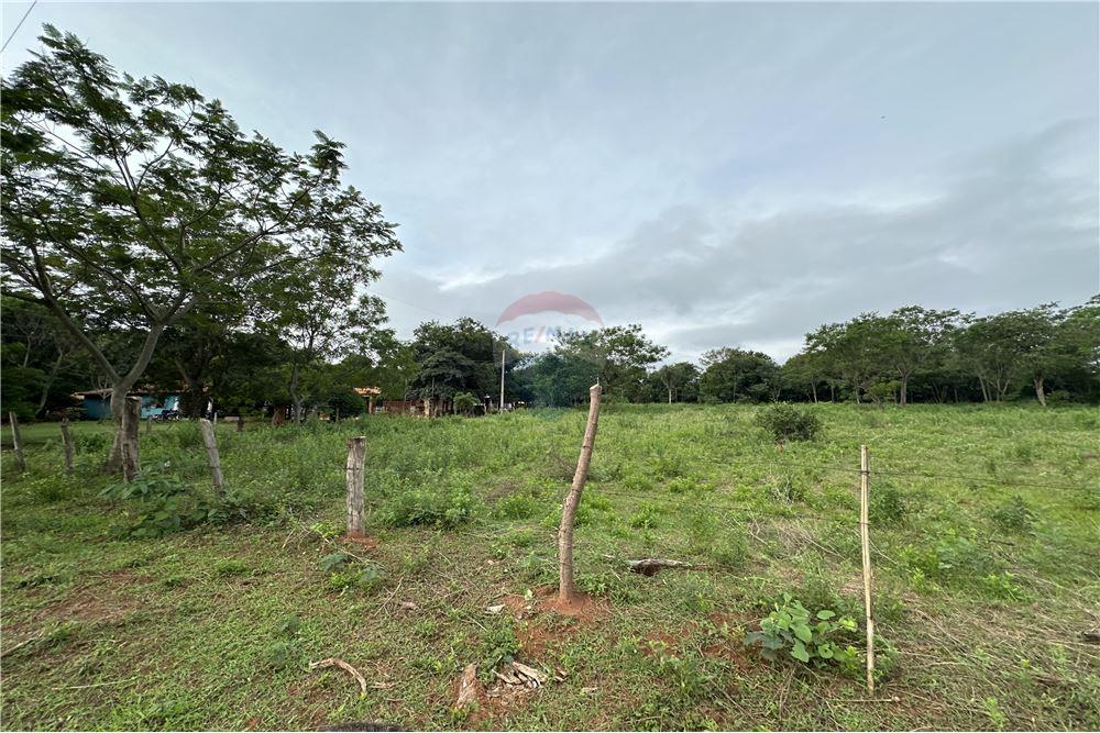 Terreno 5.000 m2 a 350 metros de Ruta 2 - Caacupe. — foto 3