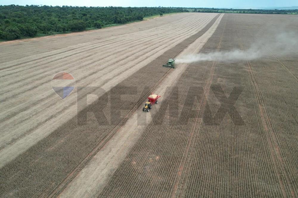Magnífica estancia de 1.200 hectáreas ubicada en San Pedro — foto 2