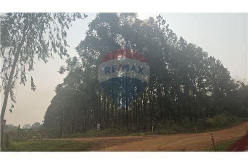 VENDO CASA DE CAMPO CON 55 HECTAREAS EN ITACURUBI!!!! — foto 2