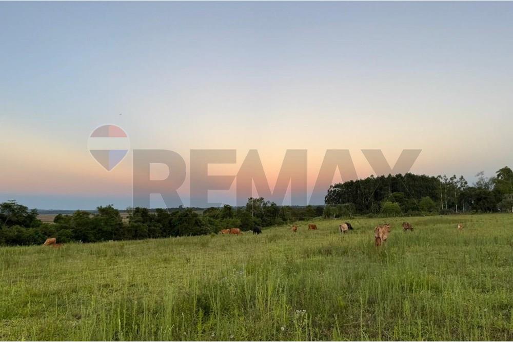 Campo en caazapá — foto 2
