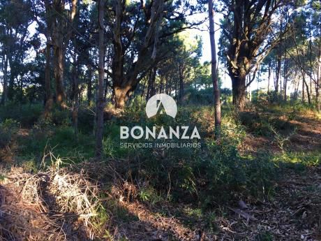 Terreno En Venta,piriápolis,punta Colorada, 700 M De Playa