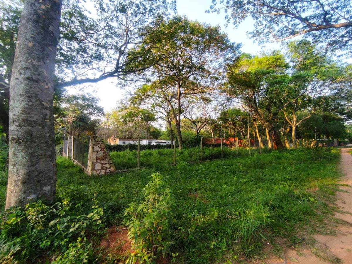 EN VENTA SAN BERNARDINO TERRENO EN ESQUINA EN ALTURA — foto 3