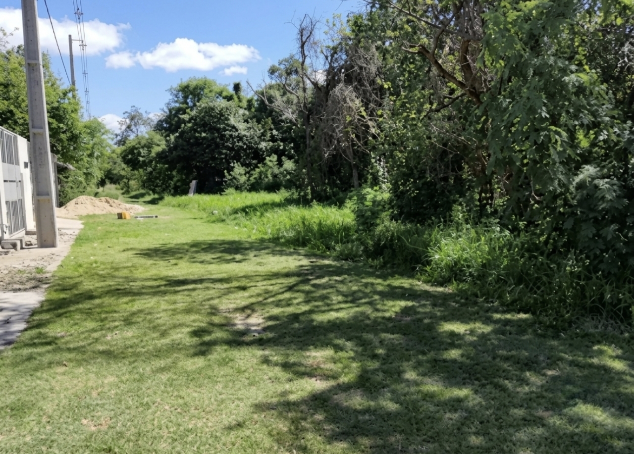 VENDO 2 TERRENOS EN SAN BERNARDINO — foto 2