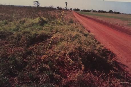 10 Hectáreas De Terreno En Minga Guazu