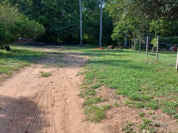 VENDO 5 TERRENOS JUNTOS EN SAN BERNARDINO — foto 3