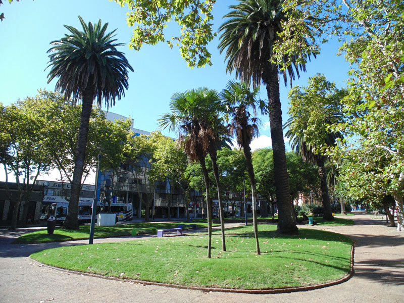 EXCELENTE PUNTO PASOS MDEO SHOPPING Y ZOO , AMPLIO Y SOLEADO G.COM. BAJOS!!!