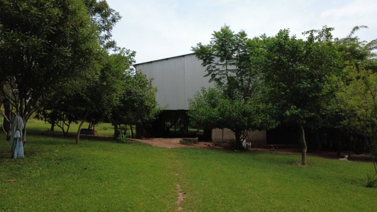 VENDO ESTANCIA GANADERA EN DOCTOR CECILIO BÁEZ - 20 hectáreas — foto 3