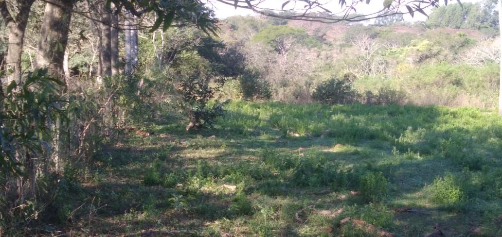VENDO HERMOSA PROPIEDAD DE 3,75 HAS CON ARROYO EN YAGUARON — foto 3