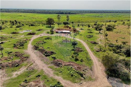 VENDO TERRENO DE 50 HECTÁREAS EN PRESIDENTE HAYES!!!! — foto 2