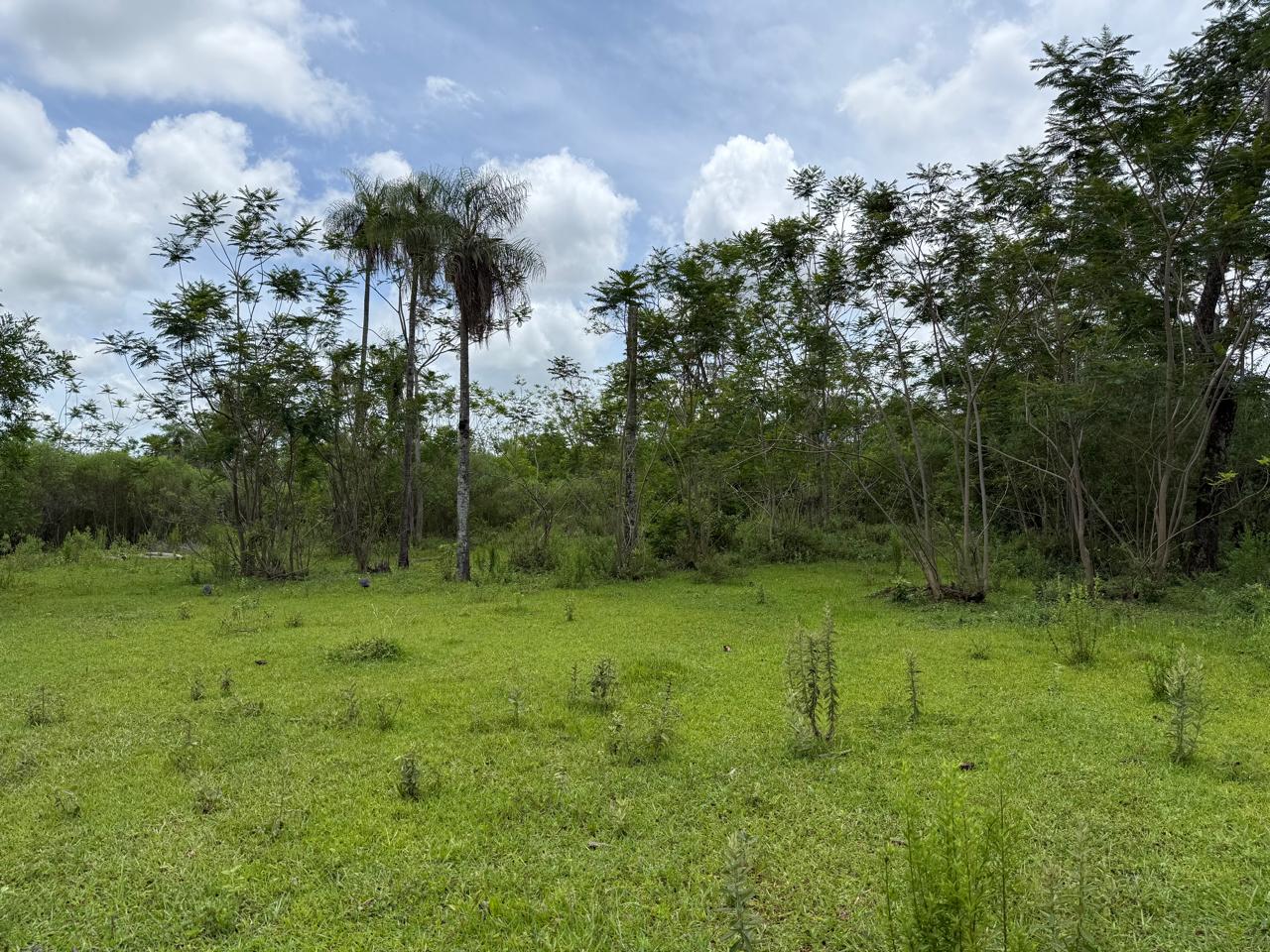 BAJÓ DE PRECIO !!!  Vendo Propiedad En Carapeguá, 2.5 Ha. — foto 2