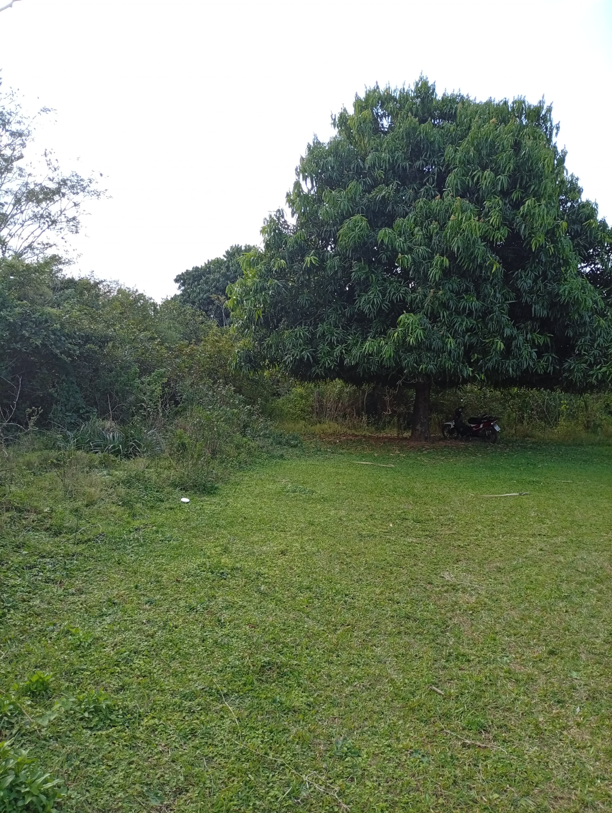 TERRENO EN VENTA - LA COLMENA — foto 3