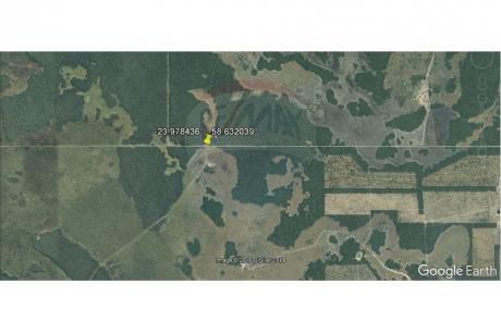 Estancia/campo - Venta - Paraguay Presidente Hayes Benjamín