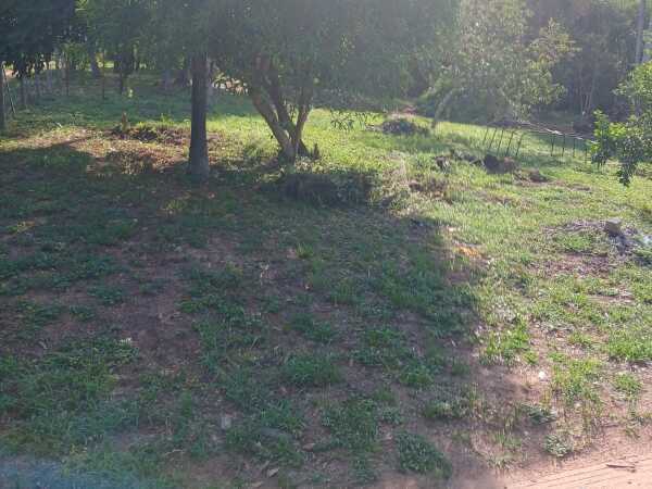VENDO 5 TERRENOS JUNTOS EN SAN BERNARDINO — foto 2