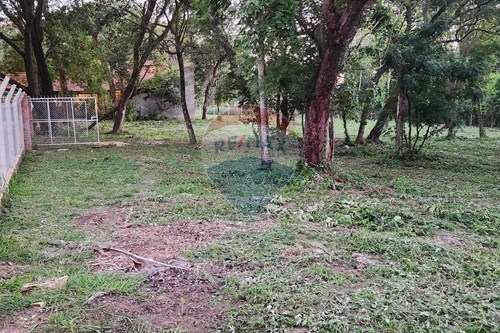 Terreno-Venta-PY Cordillera San Bernardino MCAL. ESTIGARRIBIA AVDA CIERVO CUA — foto 2
