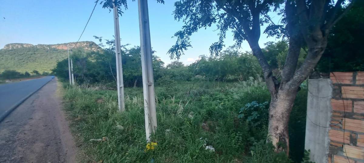 VENDO Terreno 4910 m2 sobre ruta - Paraguari — foto 3