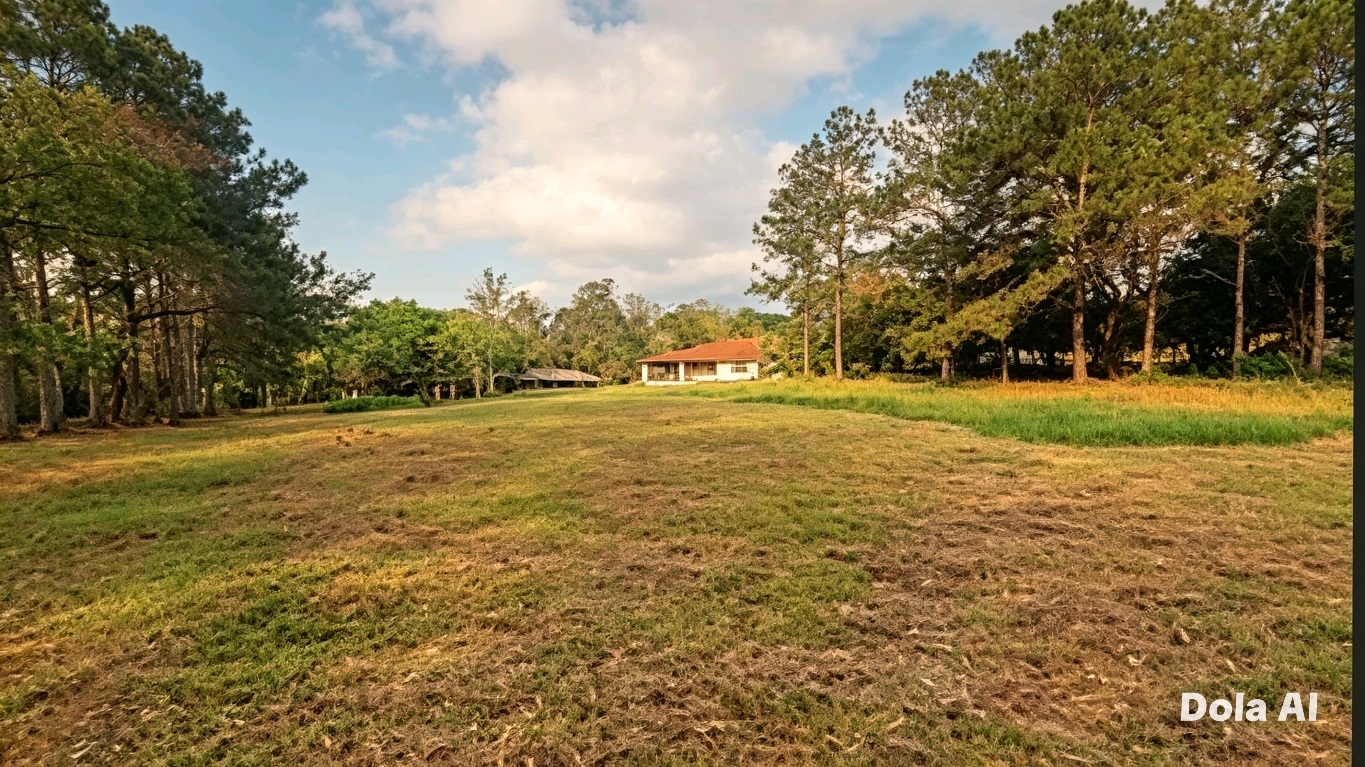 TERRENO DE 8 HECTÁTEAS EN VENTA – ZONA DE CAACUPÉ – OP ÚNICA -ZONA PRESTIGIADA — foto 3