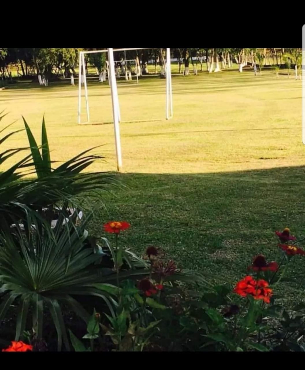 EN VENTA CASA QUINTA EN NUEVA COLOMBIA — foto 2