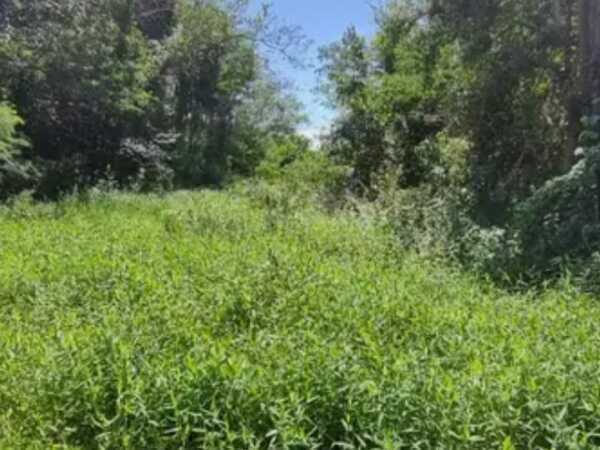 VENDO 2 TERRENOS JUNTOS O SEPARADOS- EN SAN BERNARDINO- ZONA COUNTRY LAGO AZUL — foto 2
