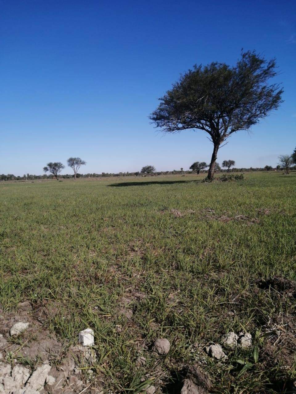 Vendo Terreno De 12 X 30  En Chaco´I — foto 2