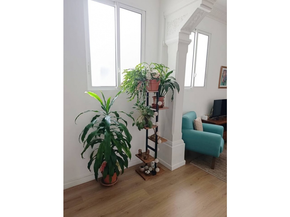 ALQUILER APARTAMENTO 2 DORMITORIOS RECICLADOS - CORDON SUR · Foto 3