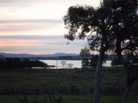 Chacra En Laguna Del Sauce