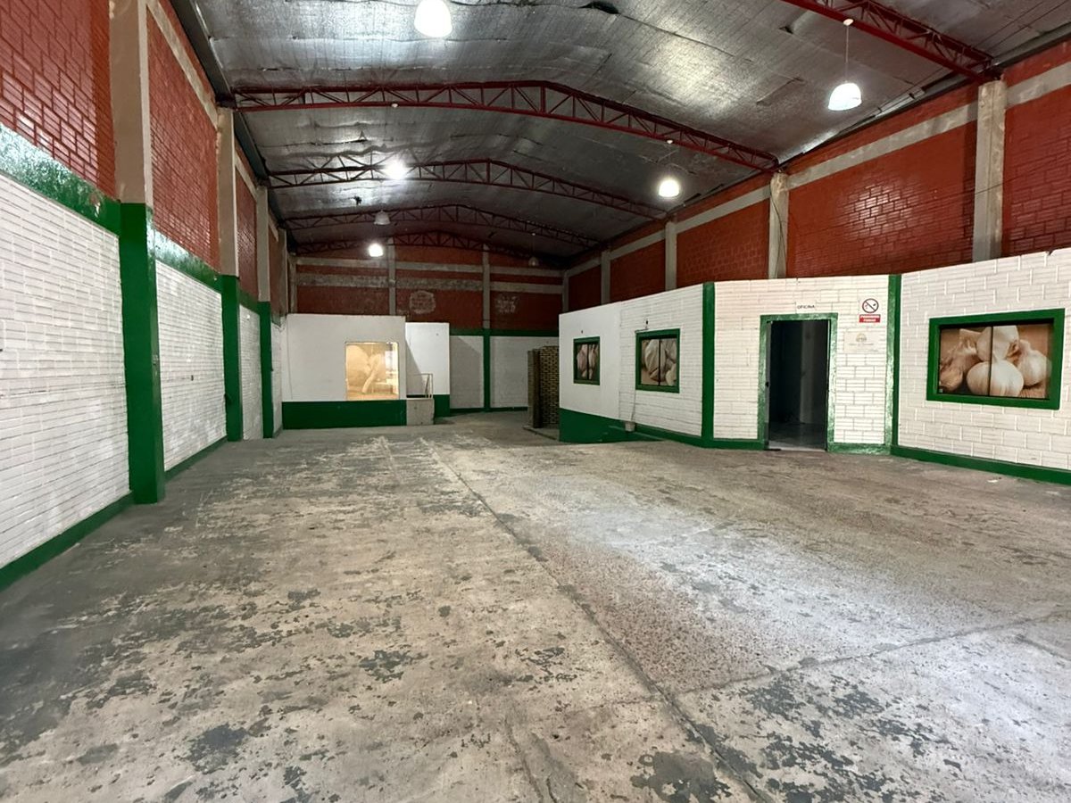 TINGLADO EN CIUDAD DEL ESTE | ZONA ABASTO — foto 2