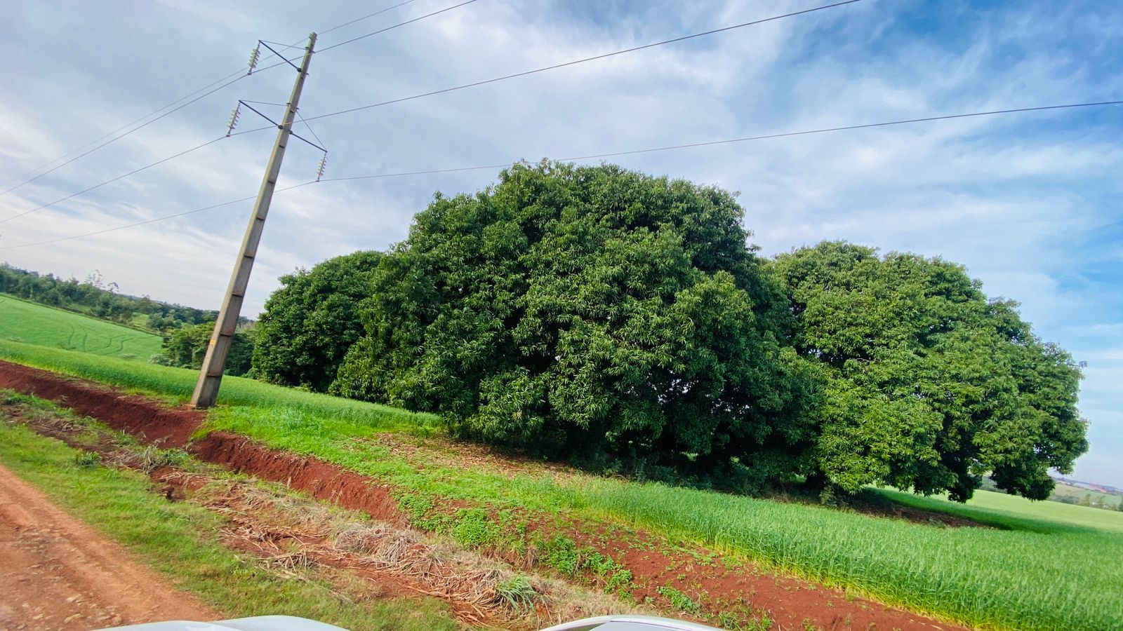 Campo En Venta Zona Encarnación — foto 2