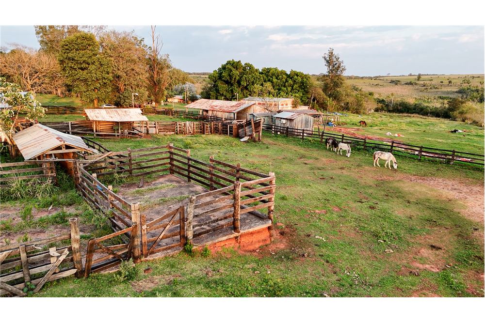 VENDO ESTANCIA 2.045 HECTAREAS EN SAN PEDRO — foto 2