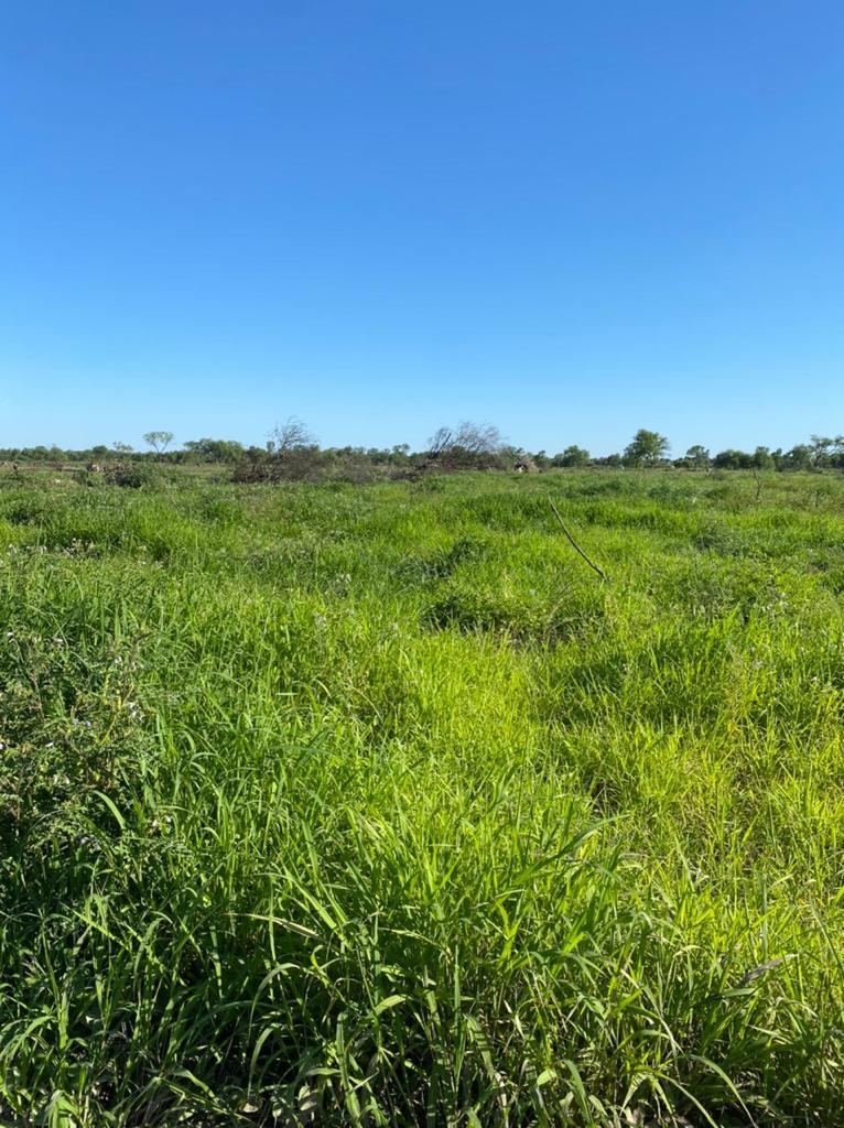 ???? ESTANCIA EN VENTA | 2.762 HECTÁREAS — foto 3