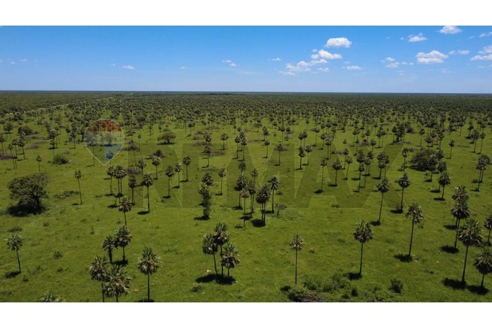 Vendo Campo Desarrollado de 6.709 Hectáreas, Presidente Hayes — foto 3
