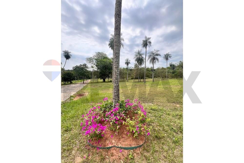 TERRENO-VENTA-SAN BERNARDINO-ASUNCION — foto 2