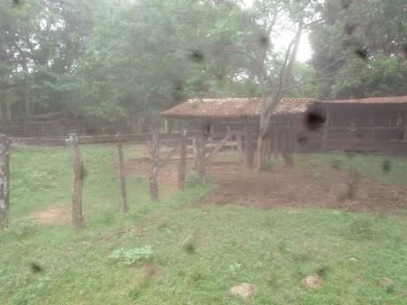 Campo De 162 Hectareas A 2km De Ruta 1