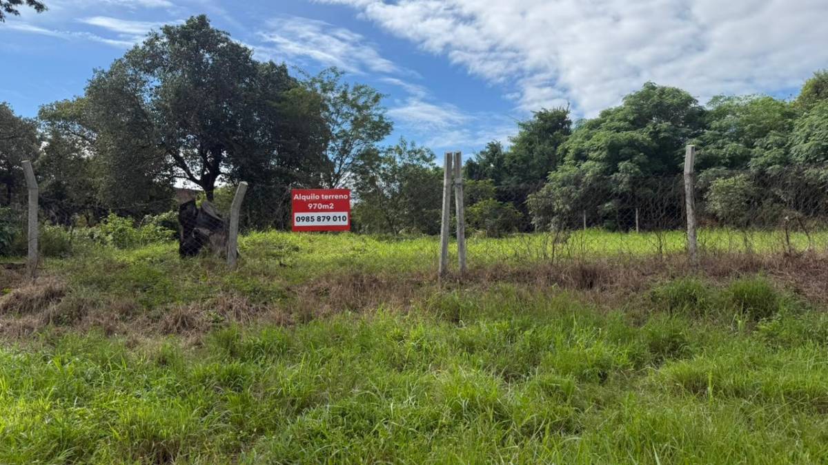 EN ALQUILER TERRENO - Zona del Yacht — foto 2
