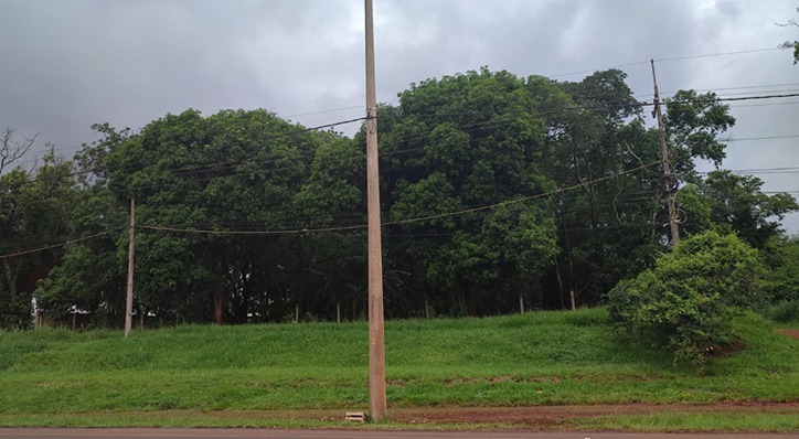 TERRENO EN VENTA SOBRE RUTA 1 – SAN JUAN DEL PARANÁ — foto 2