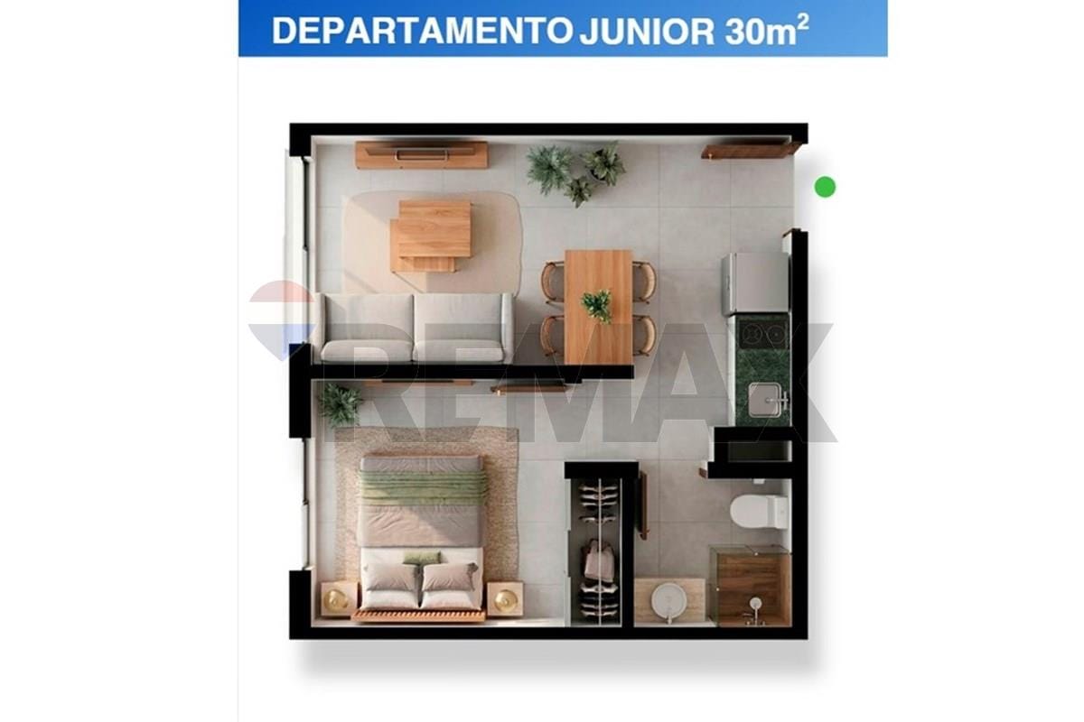 DEPARTAMENTO-VENTA-DR FRANCIA-ASUNCION — foto 2