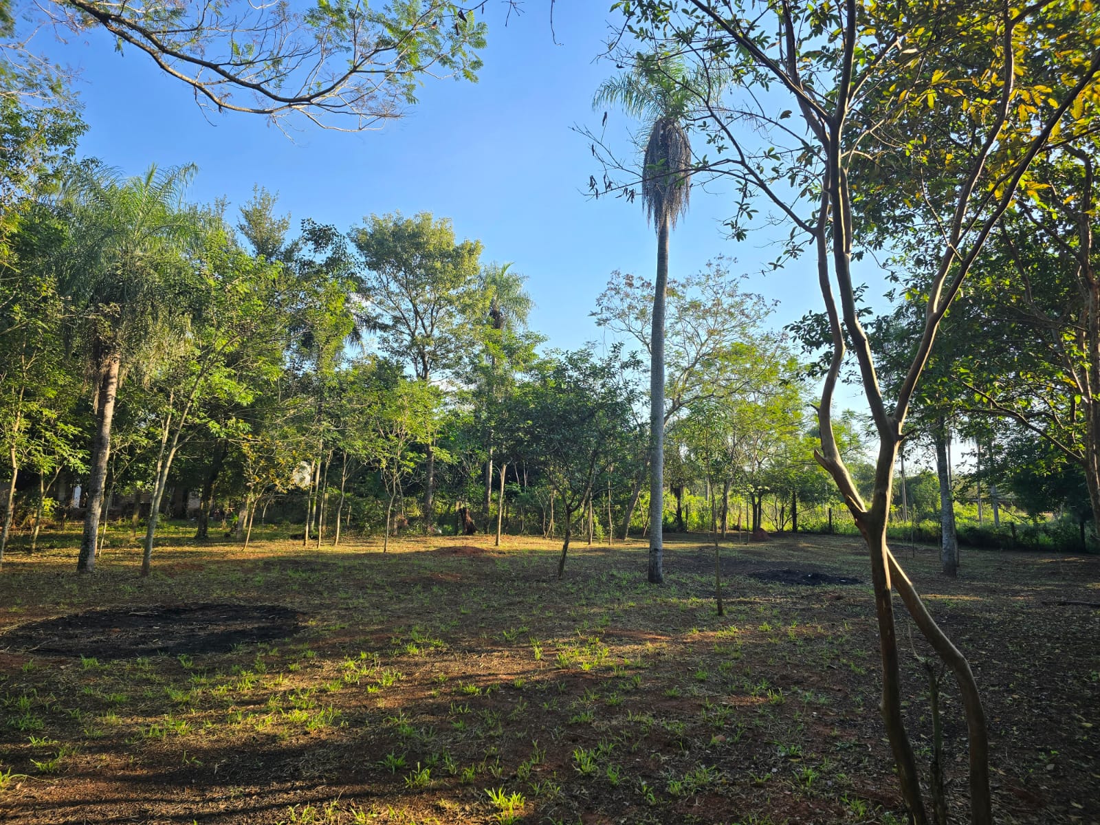 VENDO TERRENO EN CAACUPÉ — foto 3