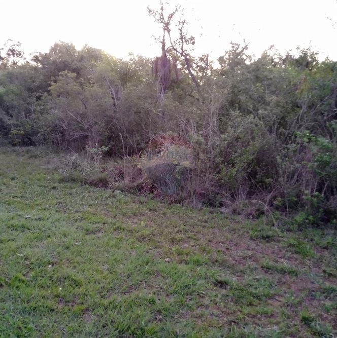 VENDO TERRENO EN PIRIBEBUY A PASOS DE LA RUTA — foto 2