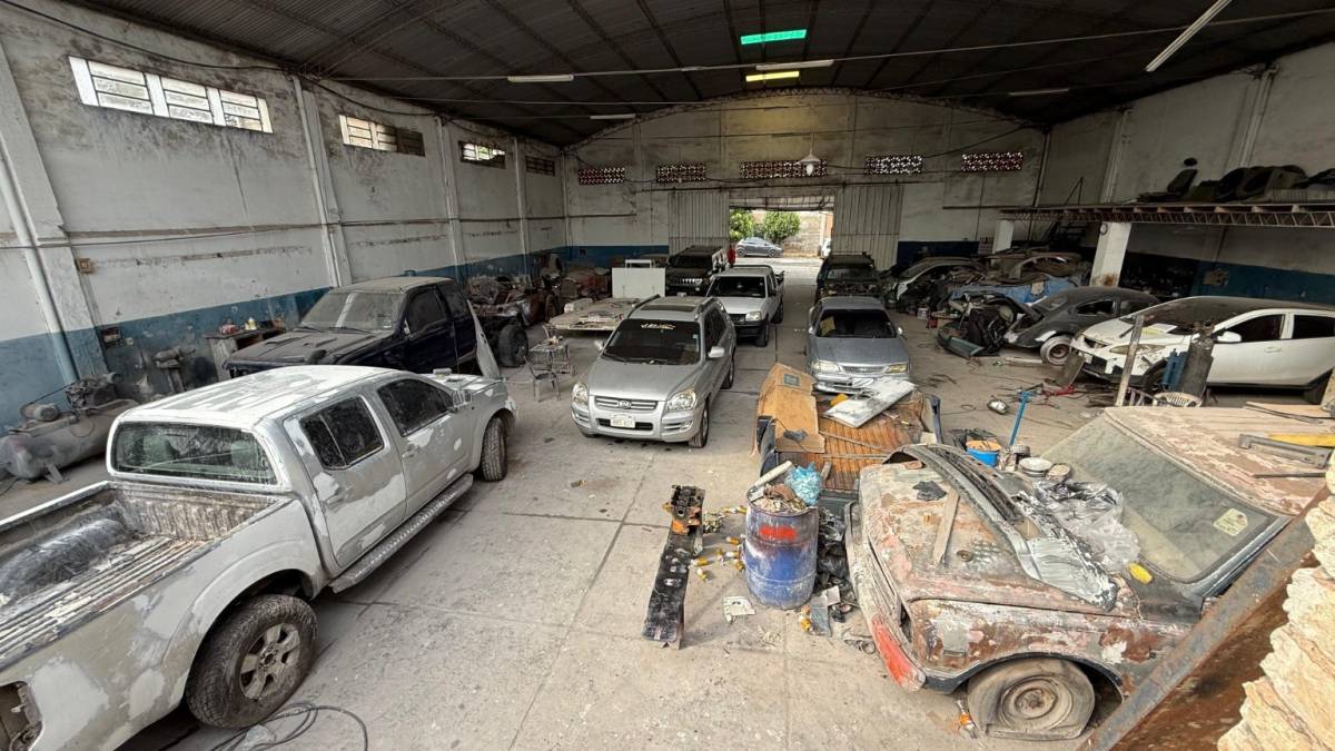 TERRENO CON TINGLADO EN VENTA — foto 2