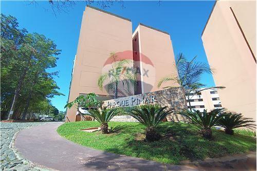 Departamento - Alquiler - Ñemby, Paraguay — foto 2
