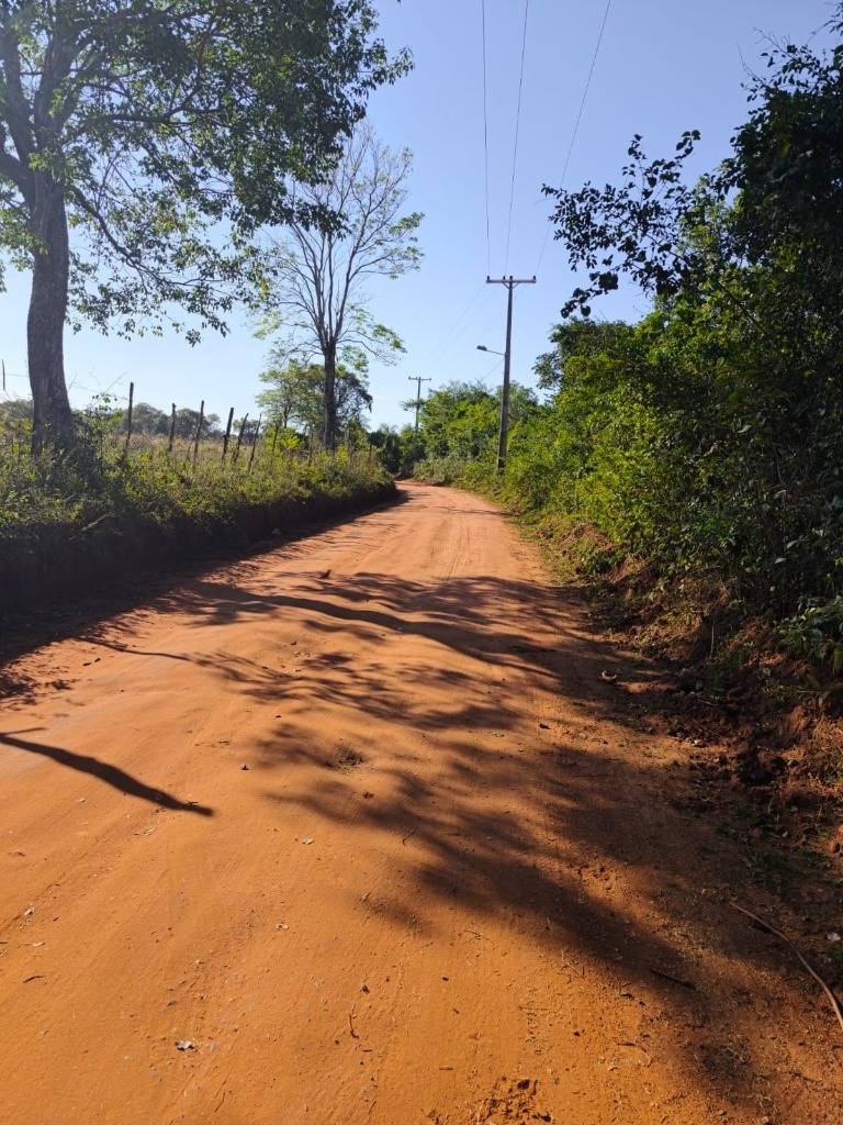 46 Hectareas en San Juan Misiones. Para inversión, desarrollo o producción. — foto 2
